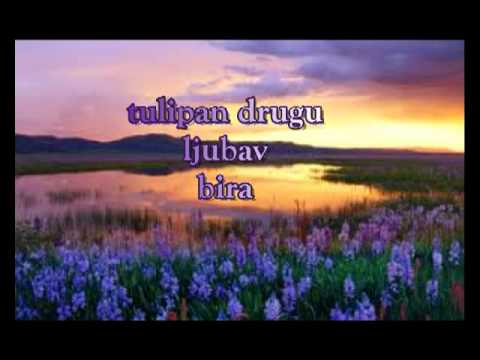 Poezija Jelena Kotarlic - bela rada