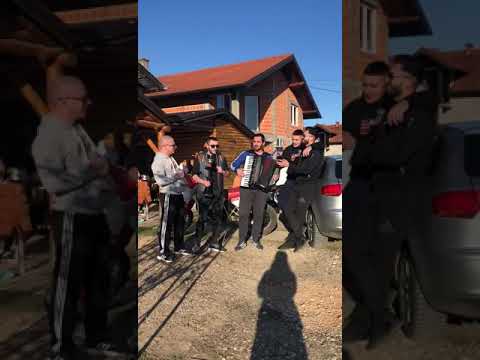 Korona virus (bećarac)