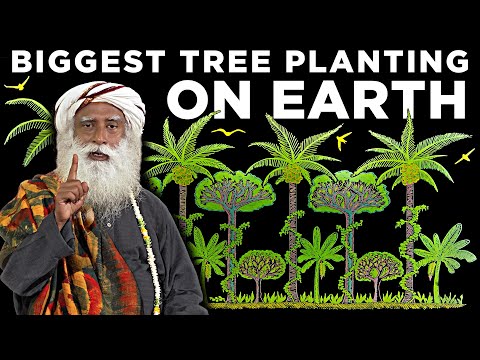 Sadhguru's Plan to plant 2.42 BILLION trees