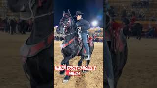 Tumba triste - Miguel y Miguel