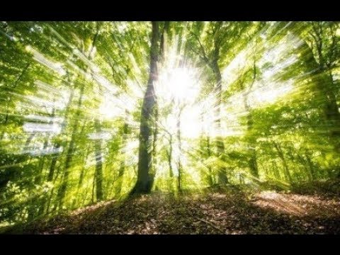 Beautiful Washington  Episode 3   Scenic Nature Documentary Film about Washington State