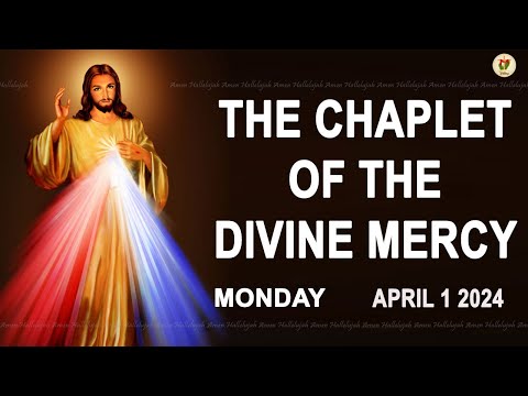 Chaplet of the Divine Mercy I Monday April 1 2024 I Divine Mercy Prayer I 12.00 PM