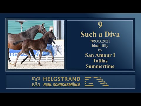 9 Such a Diva by San Amour - Totilas - Summertime