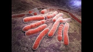 Tuberculosis testing for Nevada Health Facilities