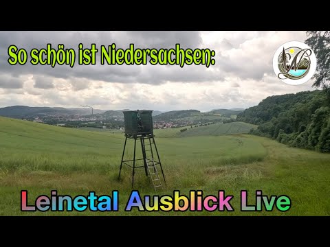 Rund um Alfeld – Wälder & Weitblick ins Leinetal