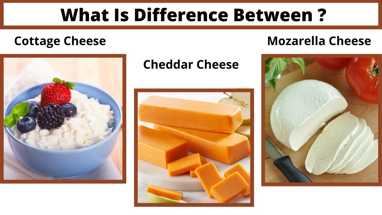 What is a Difference Between Cottage cheese/Cheddar Cheese and Mozzarella cheese?