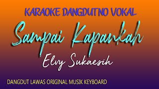 Download lagu Sai Kapankah Karaoke Elvy Sukaesih... mp3