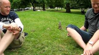 Attacking squirrel at Hyde Park London 2010