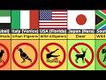 Feeding These Animals Is Illegal By Country