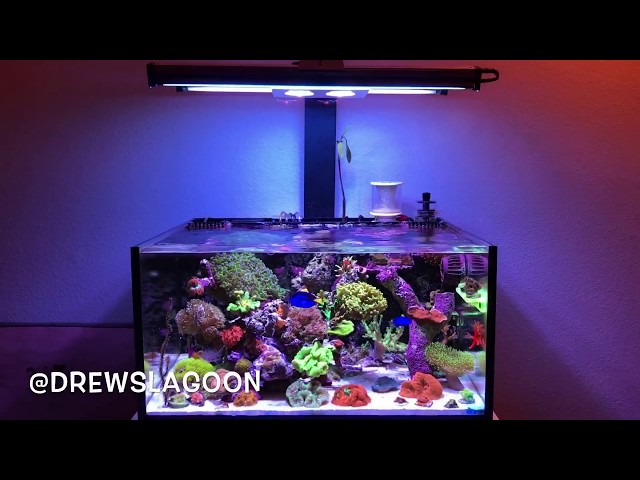 Innovative marine nano reef tank Hydra 26 hd