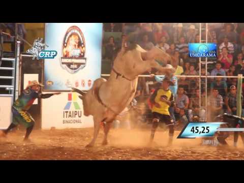 Rodeio de Umuarama 2016 - MELHOR TOURO
