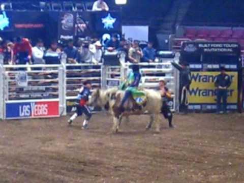Bull Riding Madison Square Garden 20090110