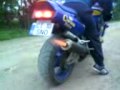 PECINEAGA 3GP