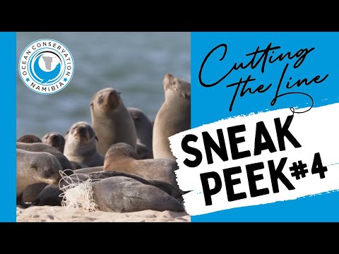 Cutting The Line - sneak peek #4