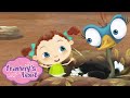 Egg Sitting Franny S Feet WildBrain Full Episodes For Kids