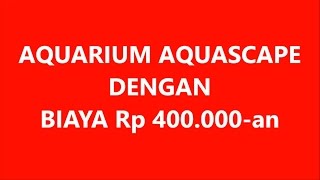 preview picture of video 'aquascape dengan biaya Rp 400an'