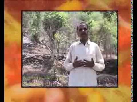 Farmer Hariman Sharma, Bilaspur