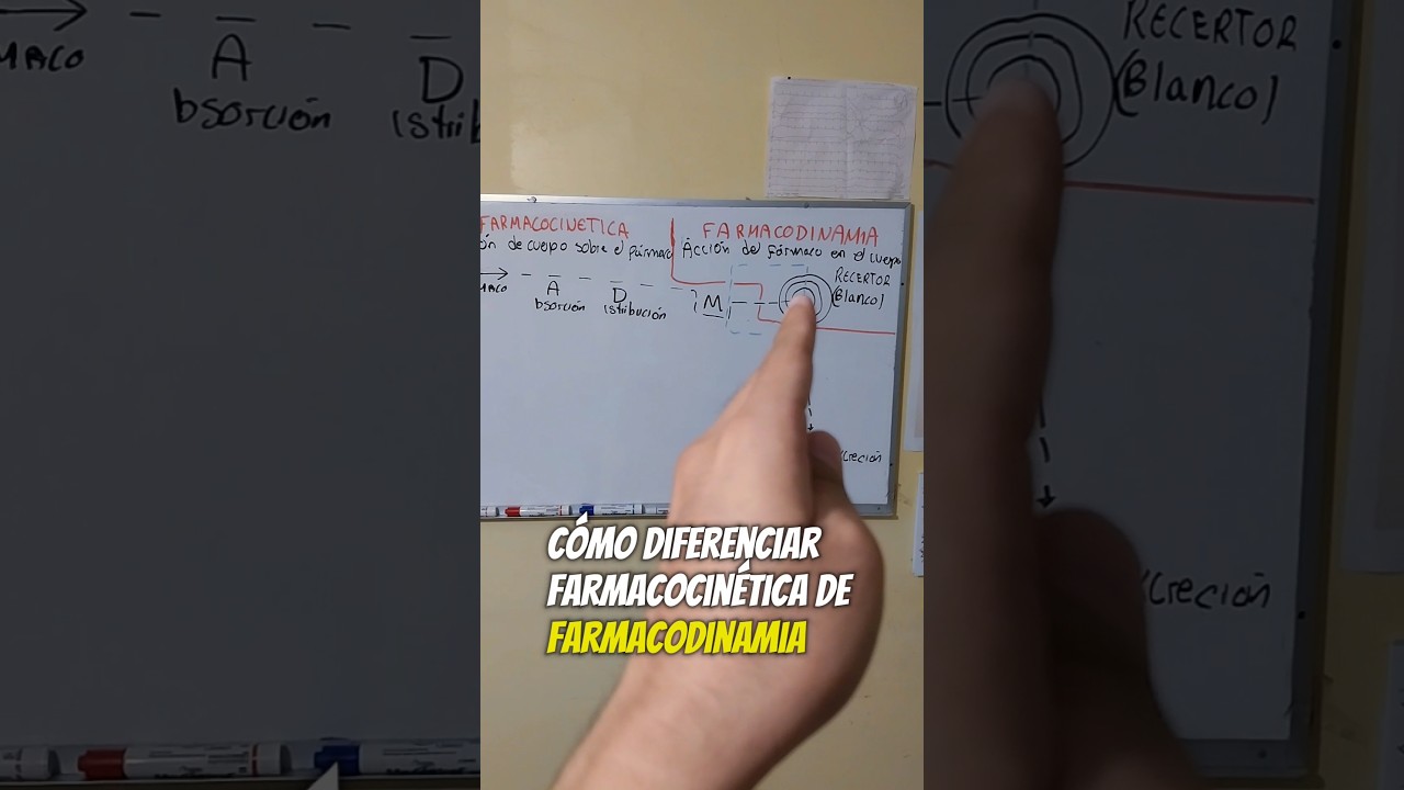 It's essential that you know: #pharmacokinetics and #pharmacodynamics #pharmacology #medicalstudent