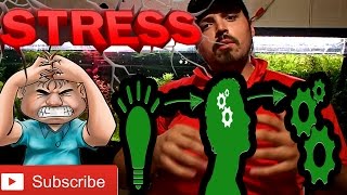 Stress is not the # 1 killer of fish, YOU ARE !!