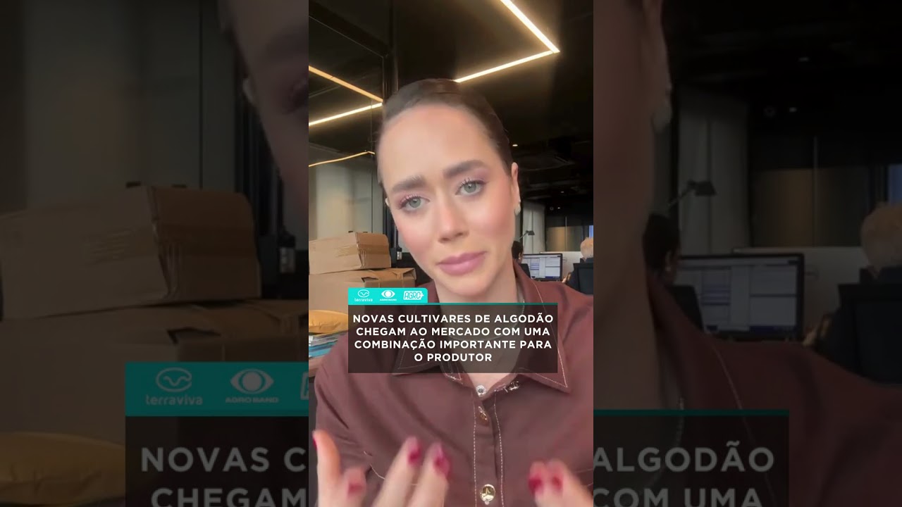NOVAS CULTIVARES DE ALGODÃO CHEGAM AO MERCADO COM UMA COMBINAÇÃO IMPORTANTE PARA O PRODUTOR