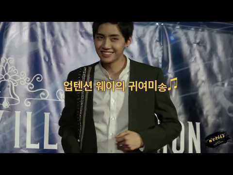 180119 업텐션(UP10TION) 웨이 귀여미송@도쿄 2부 - wei focus