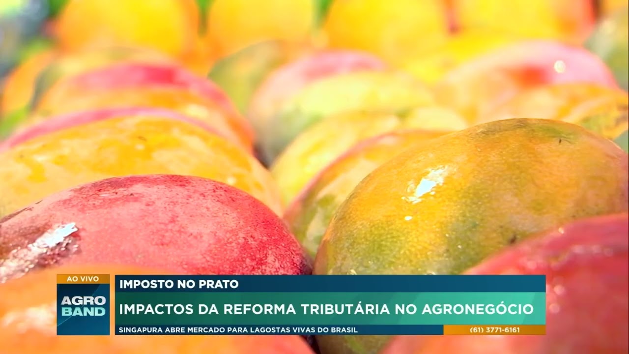 Imposto no Prato: Impactos da Reforma Tributária no Agronegócio