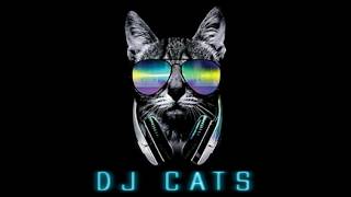 Download lagu DJ CATS   Senorita Thaimix Rihanna Igat igat remix mp3