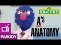 Sesame Street A S Anatomy