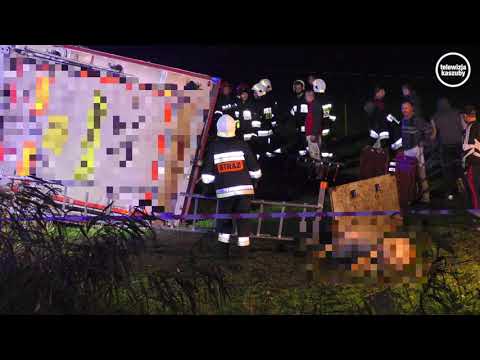 Skorzewo. Przewrócił się samochód przewożący świnie