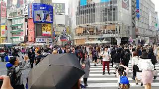 Shibuya Crossing