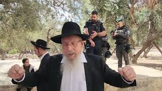 הרב ישראל שליט"א - אסור להפקיר את הר הבית! (ישיבת הר הבית) - התמונה מוצגת ישירות מתוך אתר האינטרנט יוטיוב. זכויות היוצרים בתמונה שייכות ליוצרה. קישור קרדיט למקור התוכן נמצא בתוך דף הסרטון הרב ישראל שליט"א - אסור להפקיר את הר הבית! (ישיבת הר הבית) - התמונה מוצגת ישירות מתוך אתר האינטרנט יוטיוב. זכויות היוצרים בתמונה שייכות ליוצרה. קישור קרדיט למקור התוכן נמצא בתוך דף הסרטון