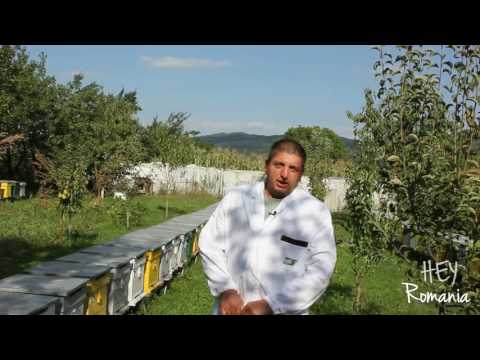 HEY Romania - Miere si Tuica de Valeni