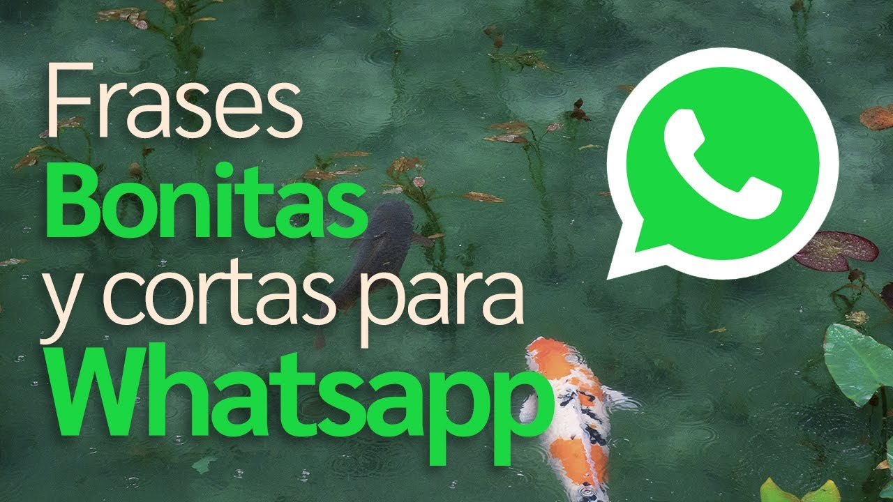 Frases Bonitas y cortas para Whatsapp (2022) (4k)