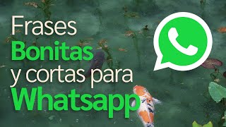 Frases Bonitas y cortas para Whatsapp (2023) (4k)