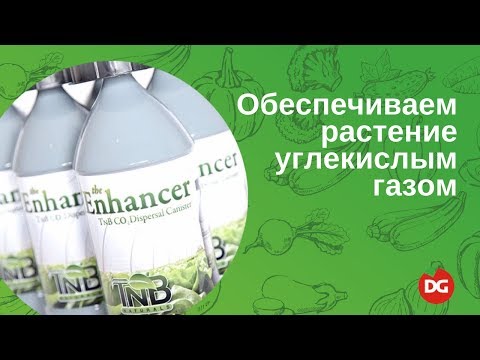 Использование углекислого газа в теплице