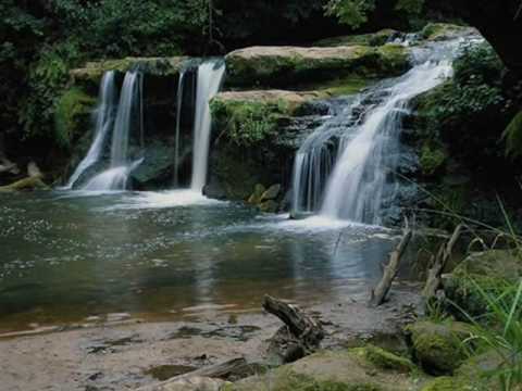 Natura ( Odessa -Martin Tillman- )