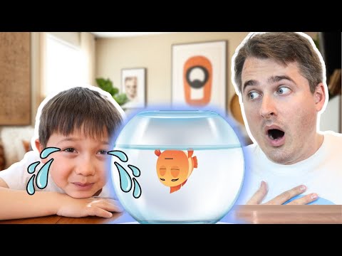 I Lost My Pet | Kids Songs and Nursery Rhymes by Papa Joel's English