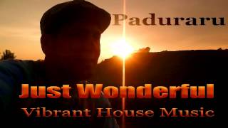 Paduraru - Just Wonderful (Judo Being Deeptech Mix)