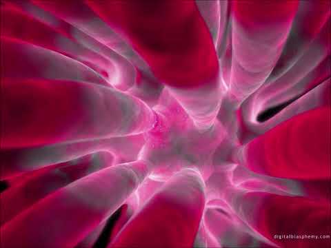 Jorrgus - To twoja wina 2009