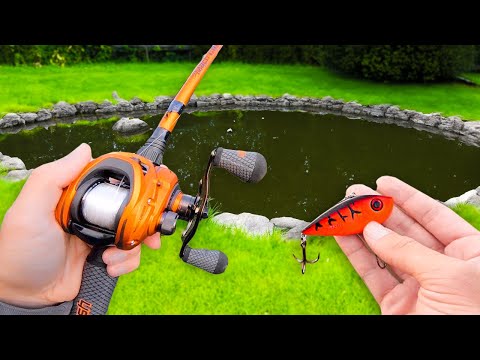 Searching for GIANT Bass in SMALL Ponds!