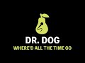 Dr Dog Where D All The Time Go Karaoke