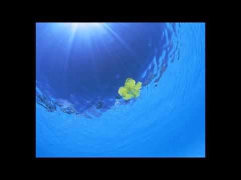 Gareth Wyn ft. Polaroid - Beautiful (Gareth Wyn Rave Off Remix)