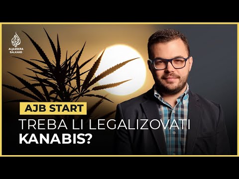 Kako kanabis utječe na naše tijelo? | AJB Start