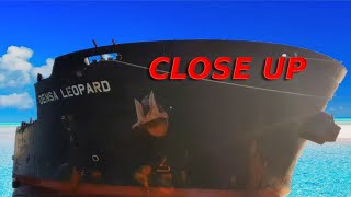 BIG SHIPS  Close look at Densa Leopard Bulk Carrie