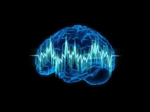 TWK: Wisien, Jary, Komen - Co ci przyjdzie do głowy