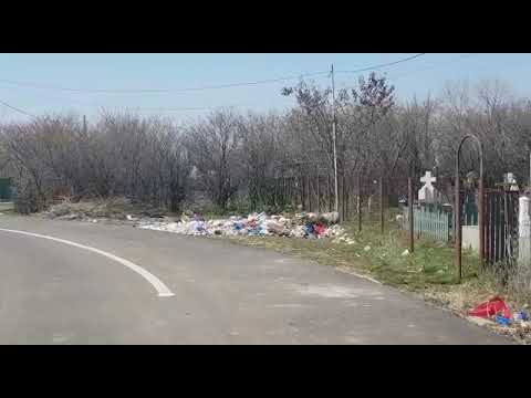 Cum arată un sat din Teleroman, în plină campanie de ecologizare „Teleorman, județ curat” - VIDEO