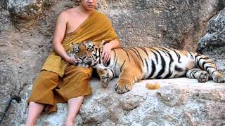 Paul Davis - Do Right