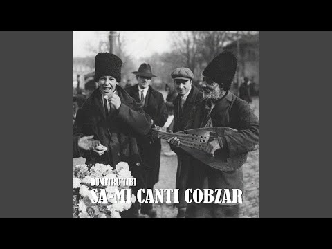 Sa-Mi Canti Cobzar
