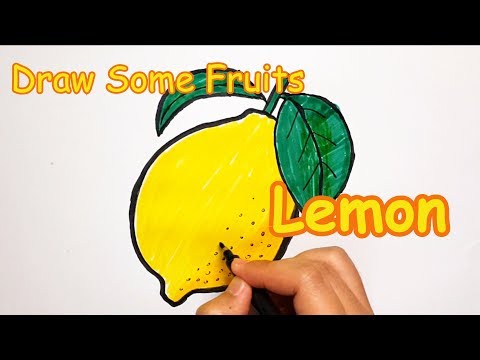 Fresh Lemon | Draw Fruits project