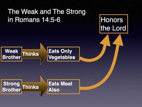 Week 1 - Introduction and Romans 14:1-9